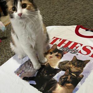 Custom Bootleg Tee - Image 30